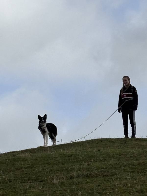 Walking Ilam, 7.6 miles, 4.9km into the route