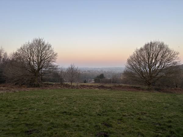 Morning dog walk, 1.3km into the route