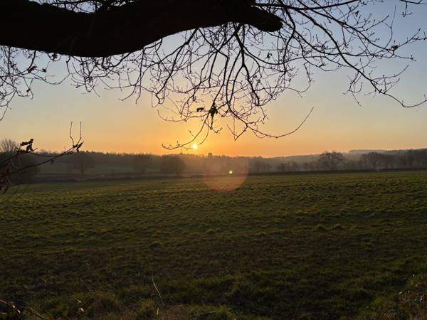 Morning dog walk, 2.4km into the route