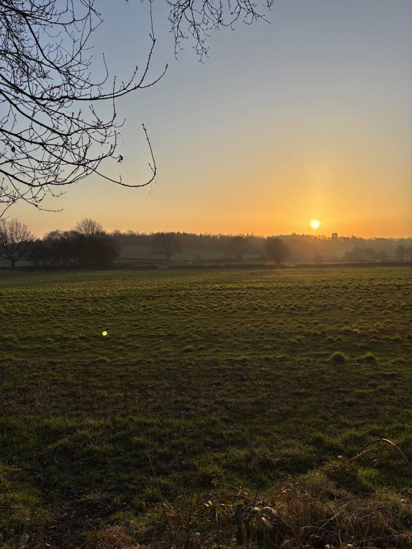 Morning dog walk, 2.4km into the route