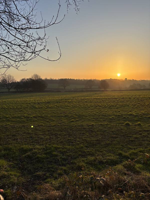 Morning dog walk, 2.4km into the route