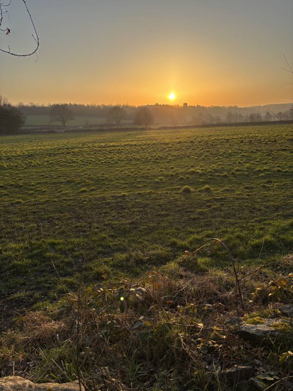 Morning dog walk, 2.4km into the route