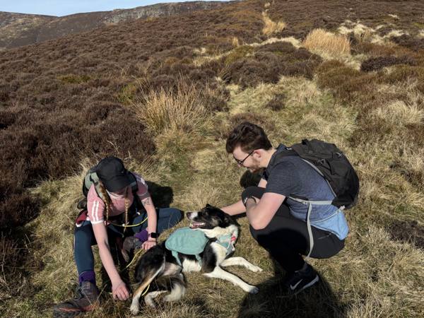 Walking Hope Valley to High Peak, 11.9 miles, 2.2km into the route