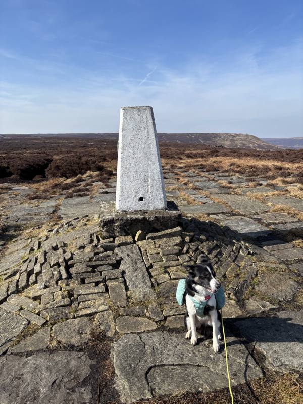 Ember on Hope Valley to High Peak, 11.9 miles, 4.0km into the route