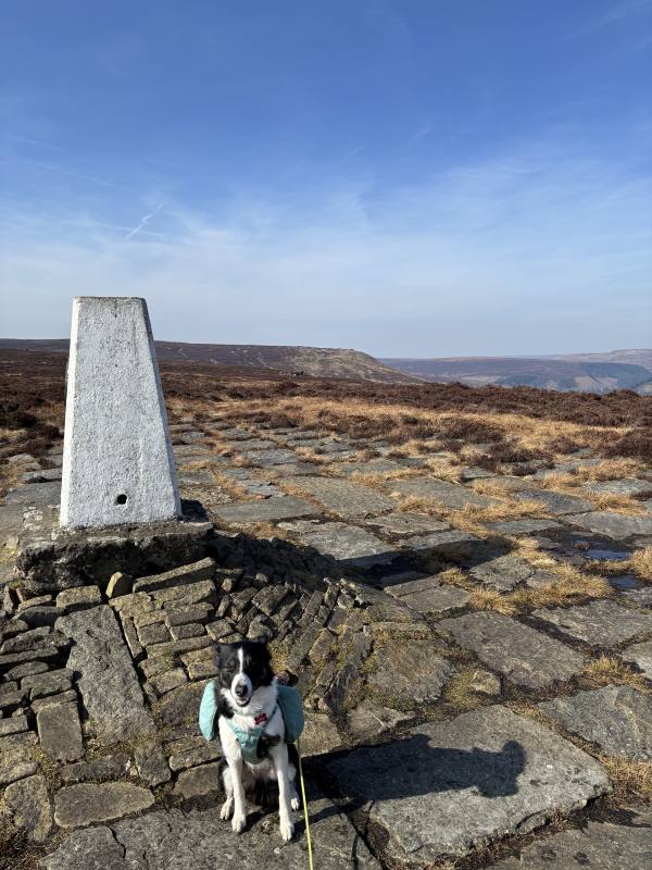 Hope Valley to High Peak, 11.9 miles, 4.0km into the route