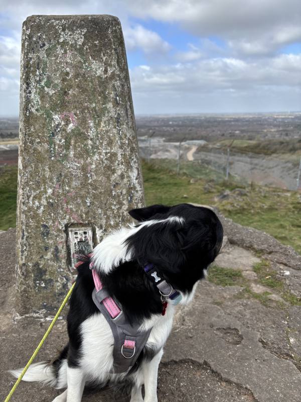 Ember on Coalville to Markfield, 5.9 miles, 4.4km into the route