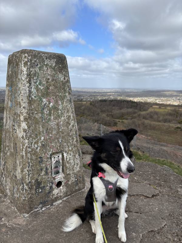Ember on Coalville to Markfield, 5.9 miles, 4.4km into the route