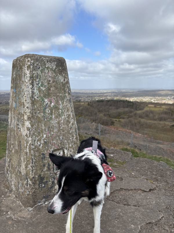 Ember on Coalville to Markfield, 5.9 miles, 4.4km into the route