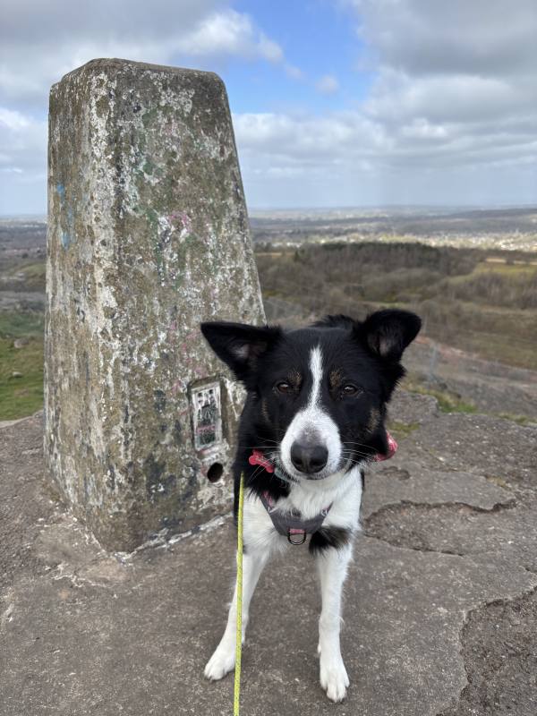 Ember on Coalville to Markfield, 5.9 miles, 4.4km into the route