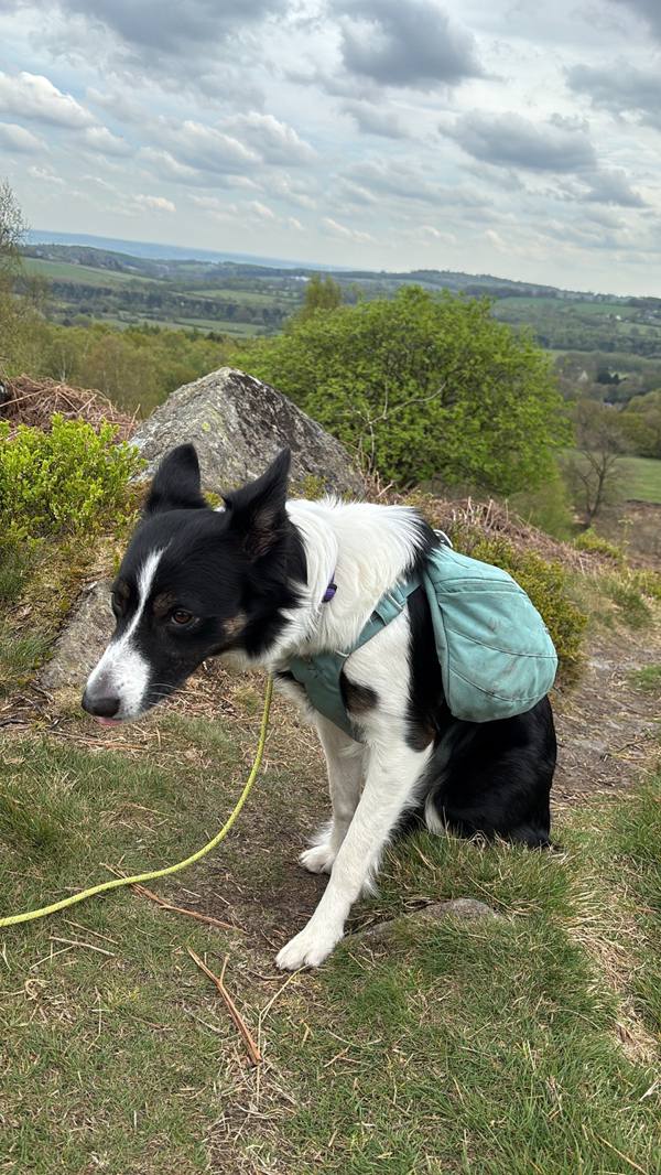 Ember on Coalville, 10.1 miles, 6.5km into the route