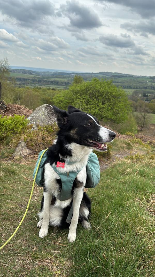 Ember on Coalville, 10.1 miles, 6.5km into the route
