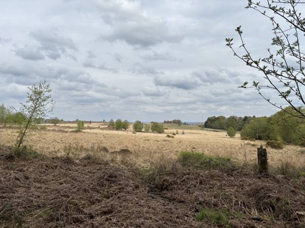 Coalville, 10.1 miles, 7.8km into the route