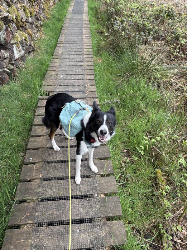 Ember on Coalville, 10.1 miles, 7.8km into the route