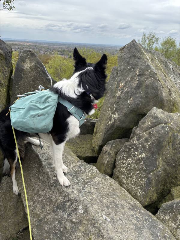 Ember on Coalville, 10.1 miles, 11.3km into the route