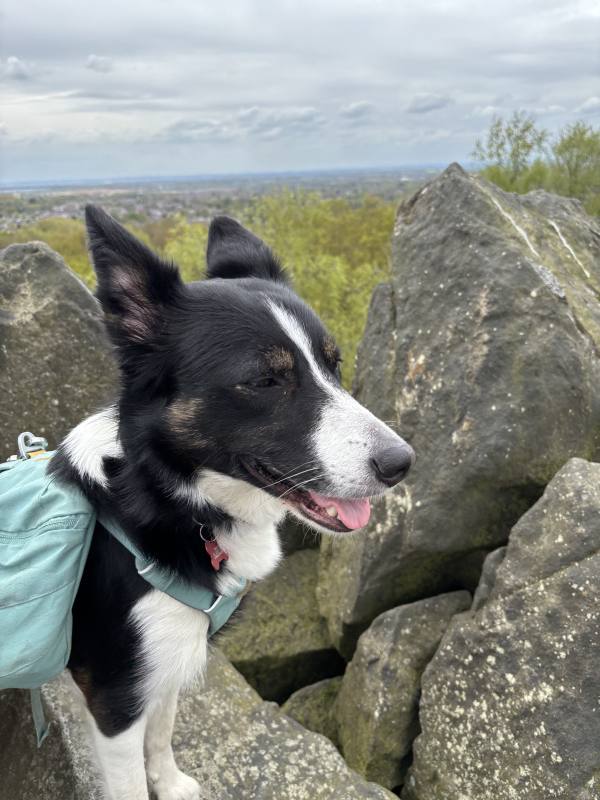 Ember on Coalville, 10.1 miles, 11.3km into the route