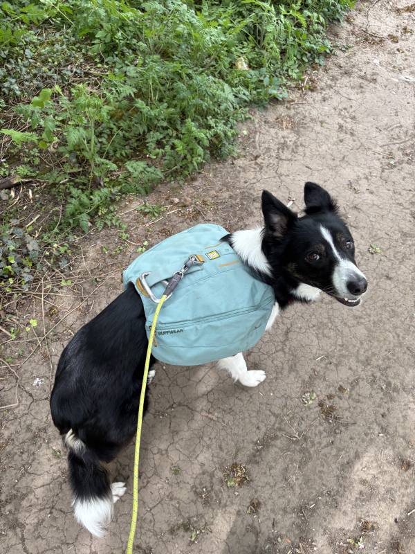 Ember on Coalville, 10.1 miles, 13.9km into the route