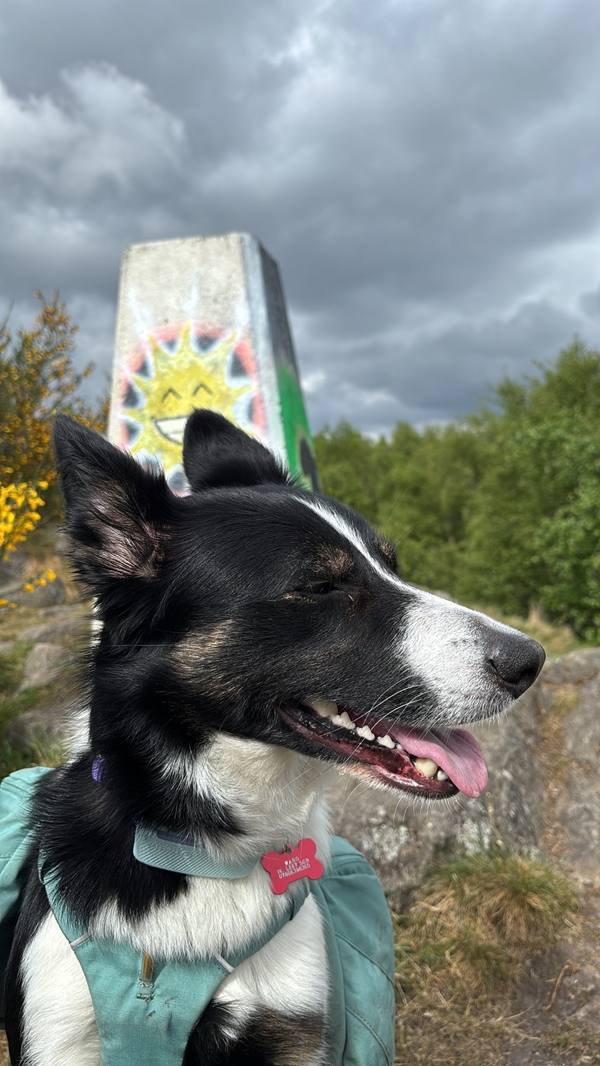 Ember on Coalville, 11.1 miles, 3.9km into the route