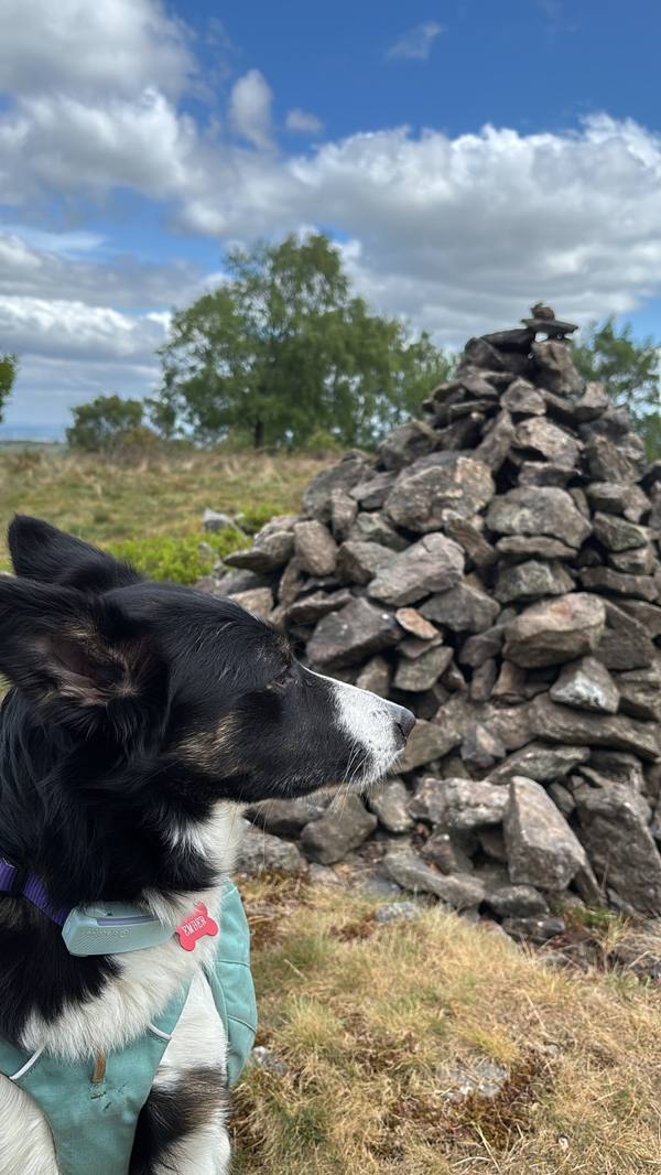 Ember on Coalville, 11.1 miles, 9.7km into the route