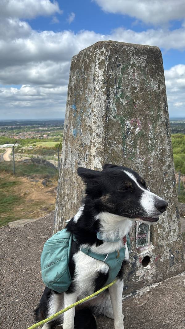 Ember on Coalville, 11.1 miles, 13.6km into the route