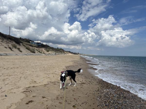 Ember on Winterton-on-Sea, 7.9 miles, 1.9km into the route