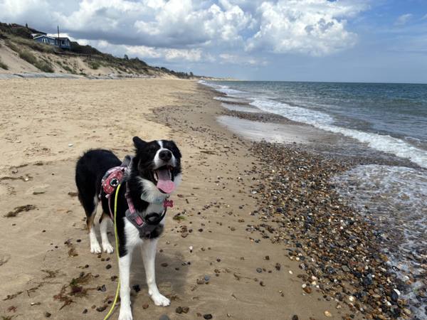 Ember on Winterton-on-Sea, 7.9 miles, 1.9km into the route