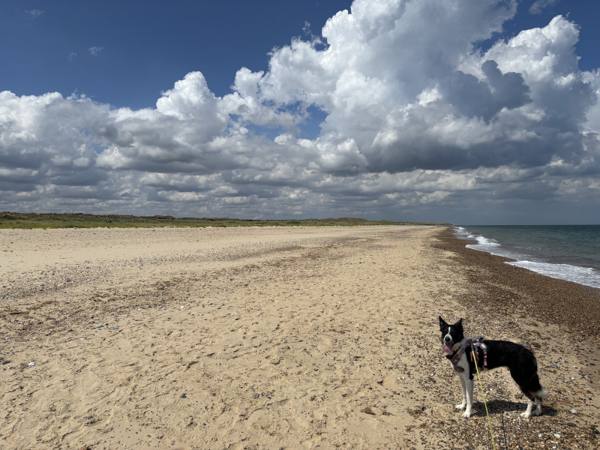 Ember on Winterton-on-Sea, 7.9 miles, 6.4km into the route