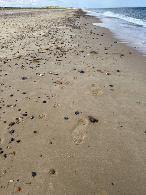 Winterton-on-Sea, 7.9 miles, 6.5km into the route