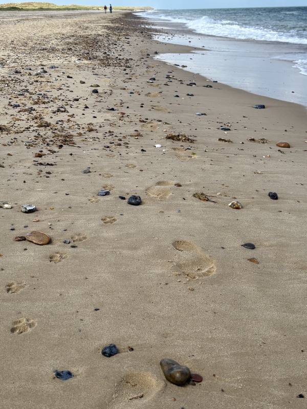 Winterton-on-Sea, 7.9 miles, 6.5km into the route