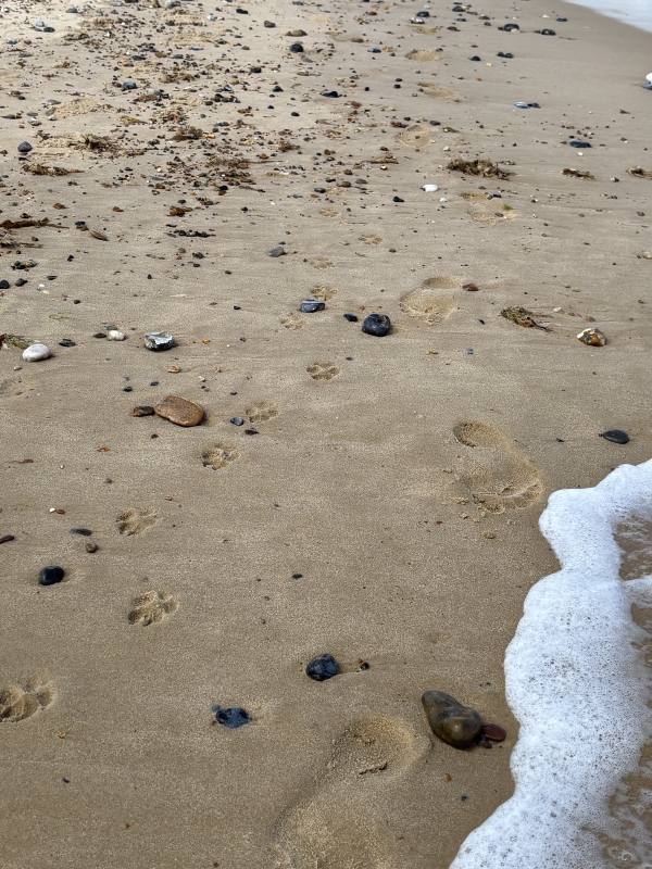 Winterton-on-Sea, 7.9 miles, 6.5km into the route