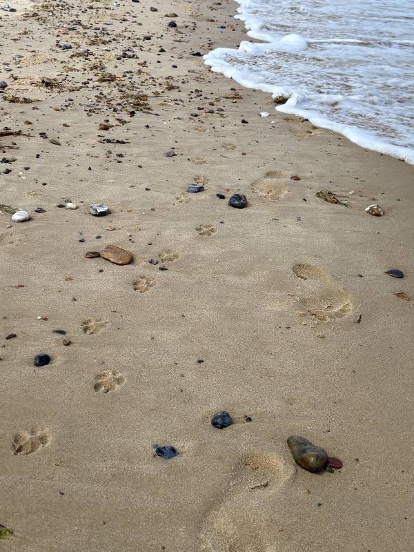 Winterton-on-Sea, 7.9 miles, 6.5km into the route