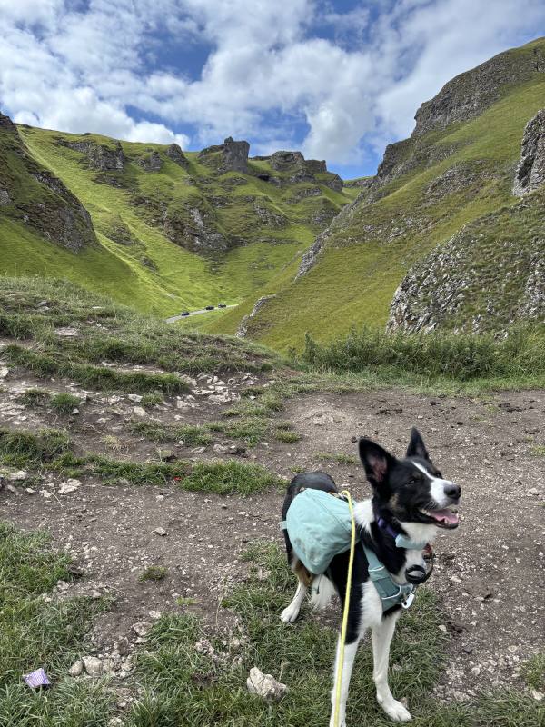 Ember on Edale, 10.1 miles, 6.1km into the route