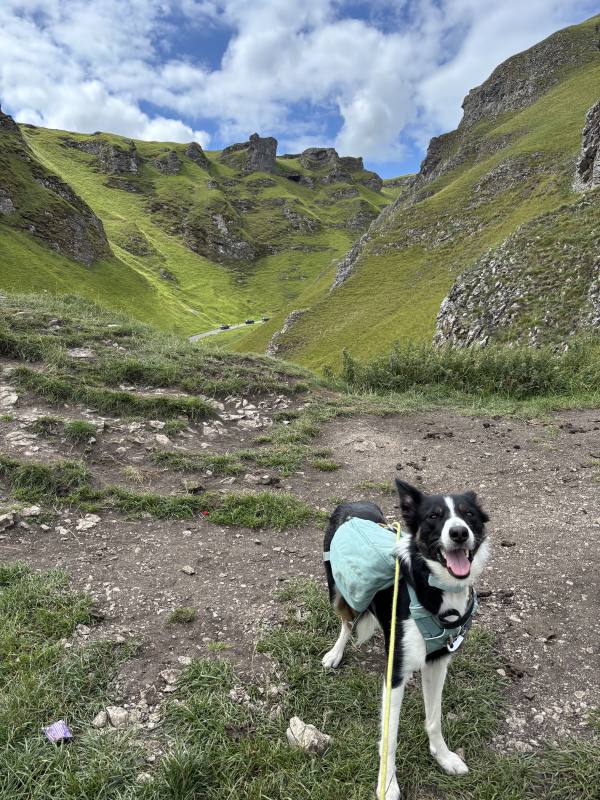 Ember on Edale, 10.1 miles, 6.1km into the route