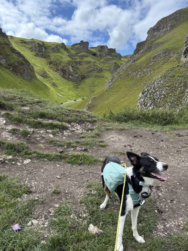 Ember on Edale, 10.1 miles, 6.1km into the route