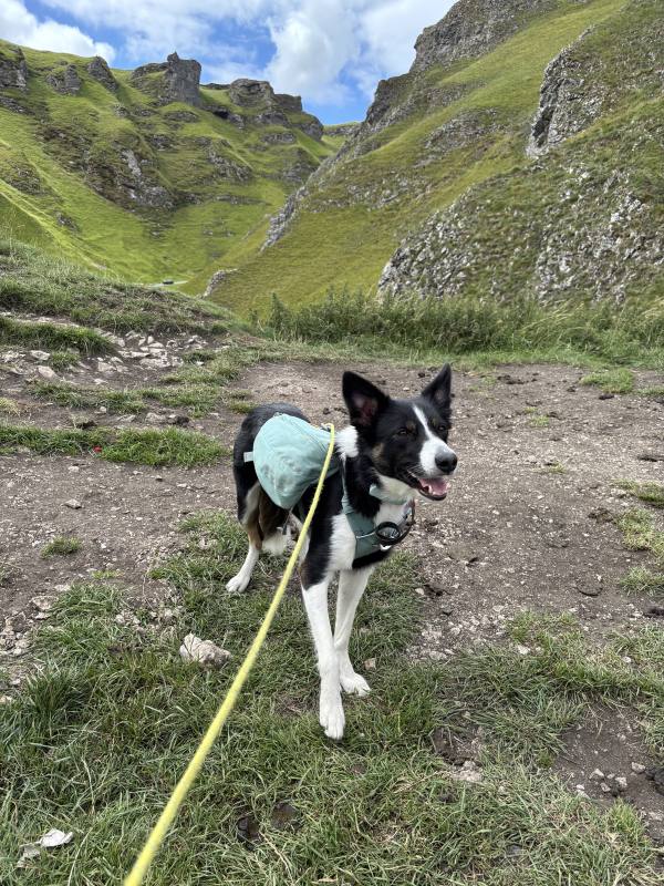 Ember on Edale, 10.1 miles, 6.1km into the route