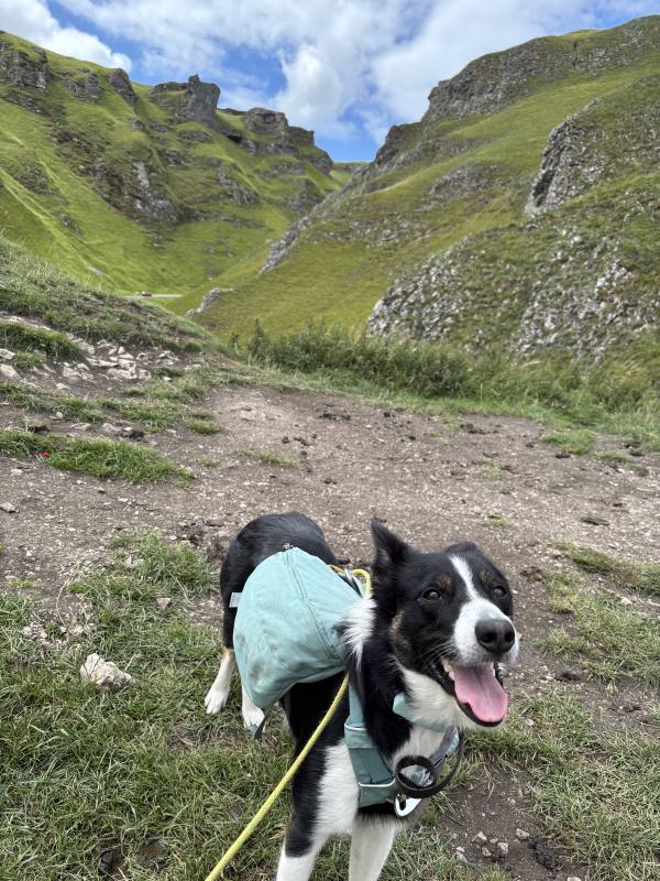 Ember on Edale, 10.1 miles, 6.1km into the route
