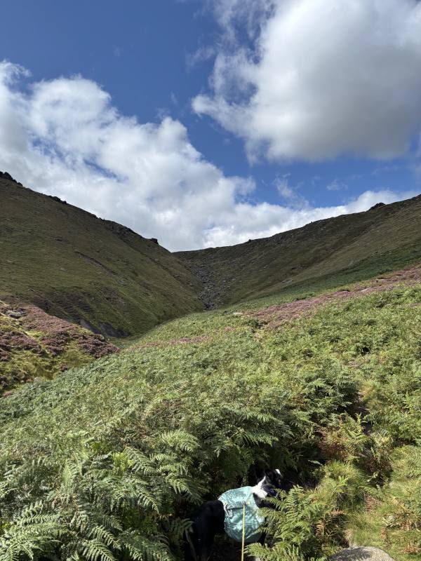 High Peak, 11.4 miles, 4.3km into the route