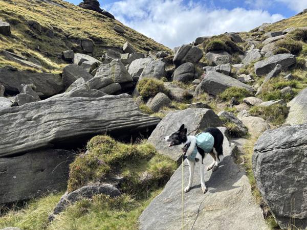 High Peak, 11.4 miles, 4.7km into the route