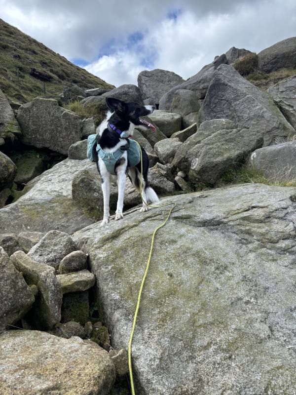 Ember on High Peak, 11.4 miles, 4.9km into the route