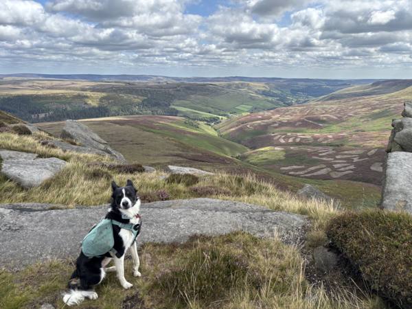 Ember on High Peak, 11.4 miles, 6.0km into the route