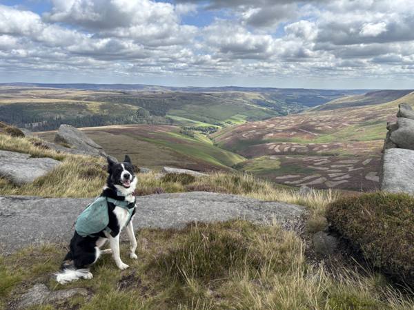 Ember on High Peak, 11.4 miles, 6.0km into the route