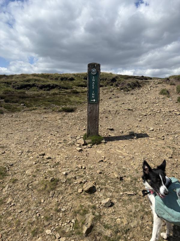 High Peak, 11.4 miles, 11.9km into the route