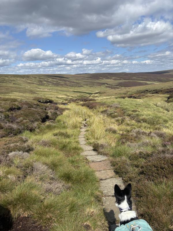 Ember on High Peak, 11.4 miles, 12.1km into the route