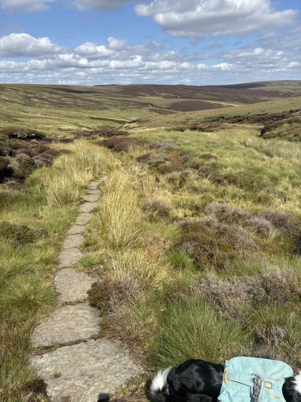High Peak, 11.4 miles, 12.1km into the route