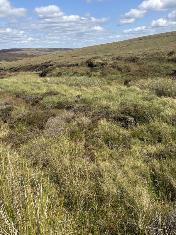 High Peak, 11.4 miles, 12.1km into the route