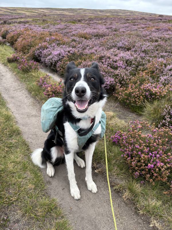 Ember on Abney, 10.3 miles, 10.0km into the route