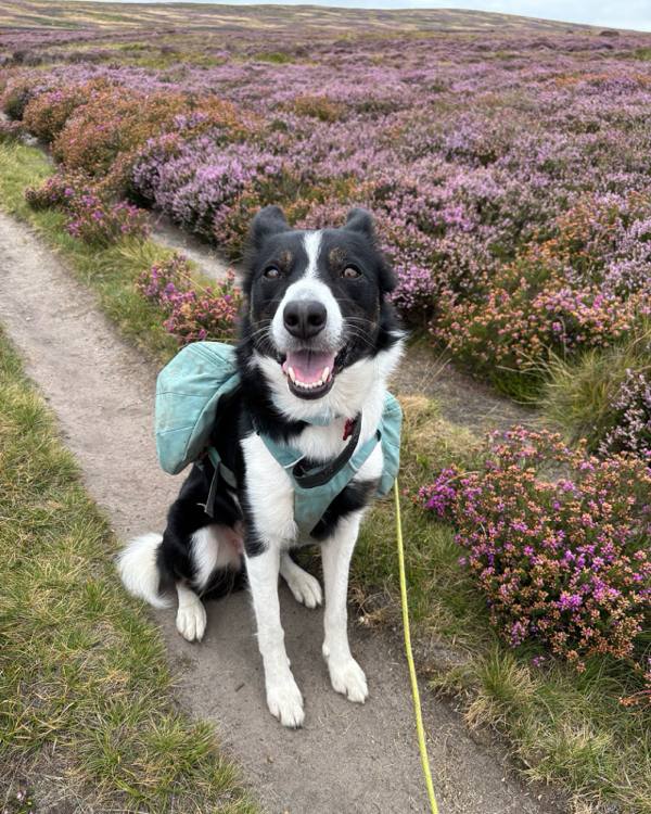 Ember on Abney, 10.3 miles, 10.0km into the route