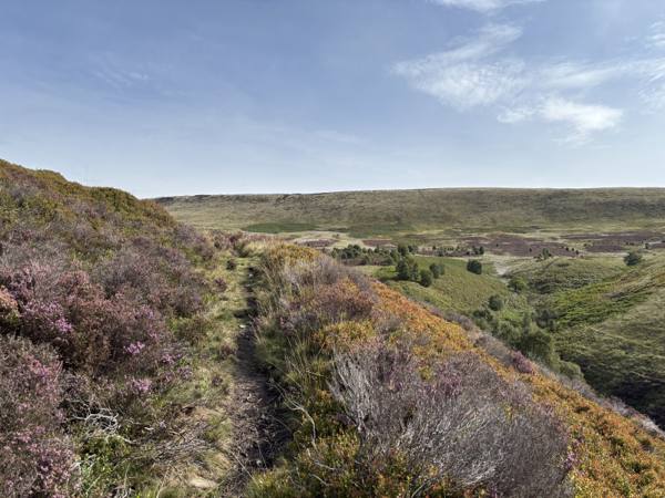High Stones and the Howden Moors, 6.0km into the route