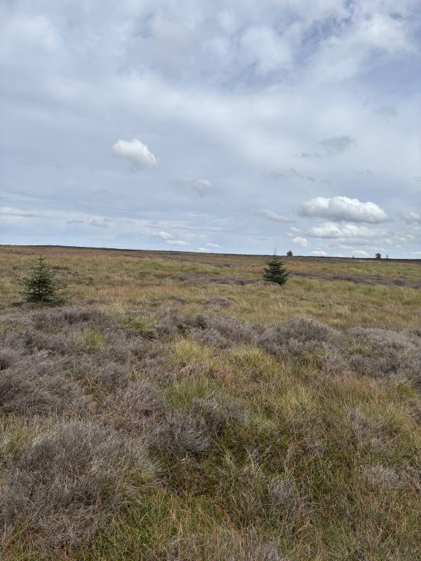High Stones and the Howden Moors, 14.8km into the route