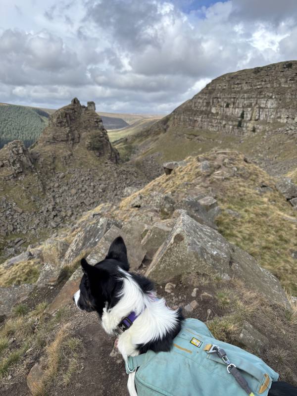 Ember on Alport Castles from the Derwent, 9.2km into the route