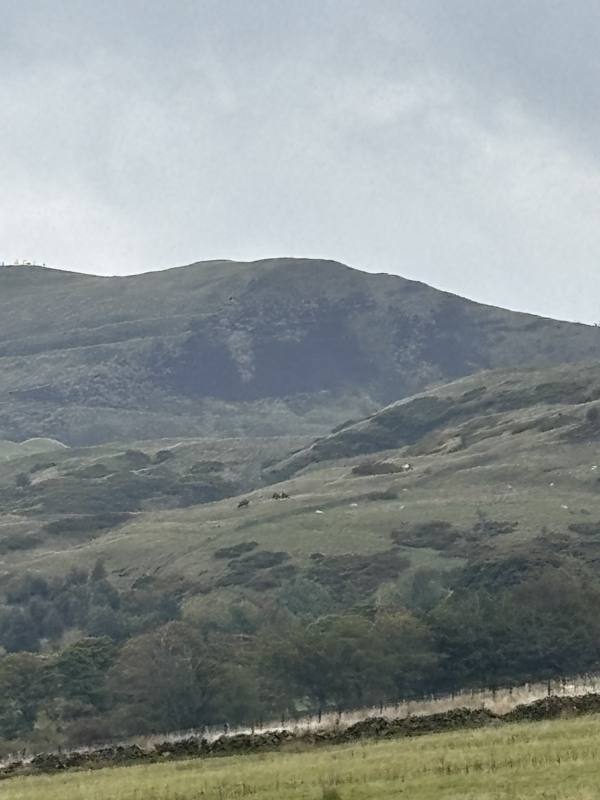 Brown Knoll and the Edale Skyline, 13.8km into the route